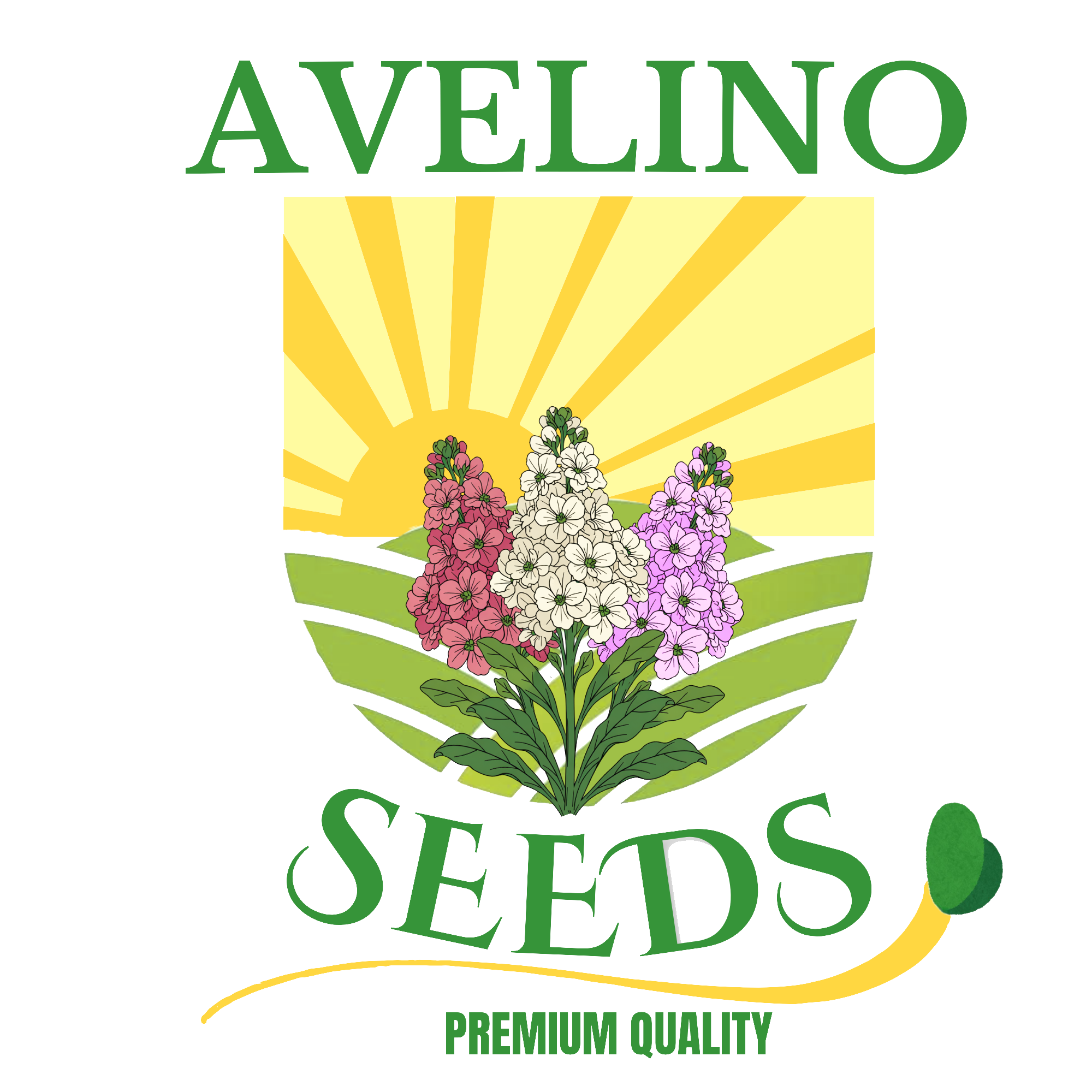 Avelino Seeds — Premium Quality